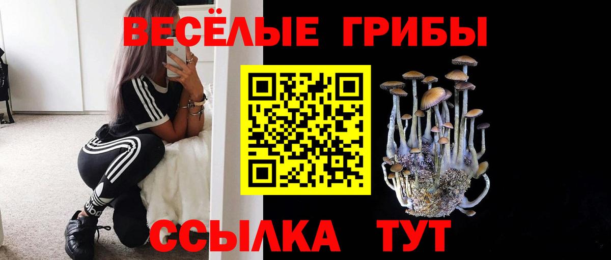 Галлюциногенные грибы Psilocybine cubensis  Вход с VPN  Псилоцибиновые грибы Psilocybe  Нягань 